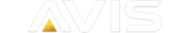 AVIS The Future of Automotive Automation